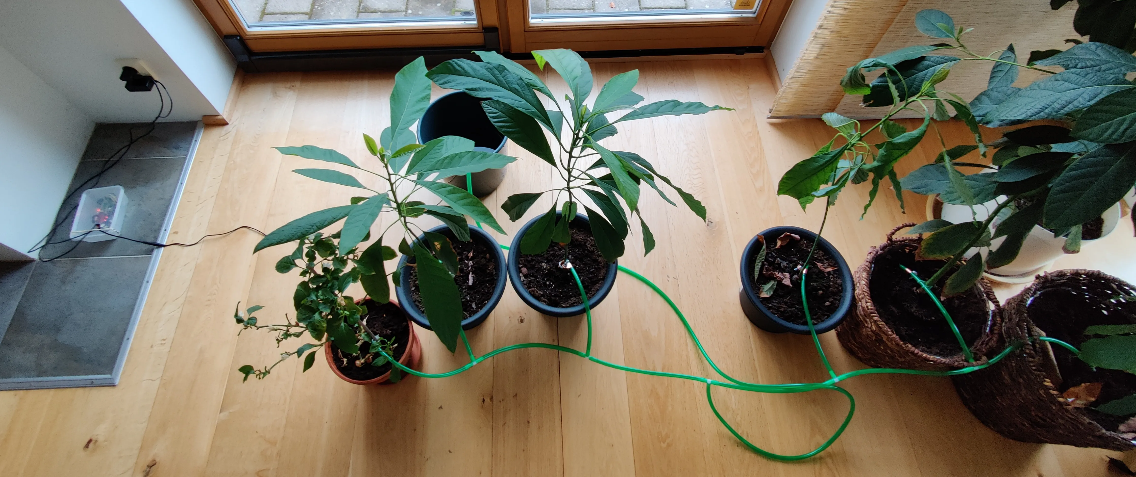 A picture of a final watering setup